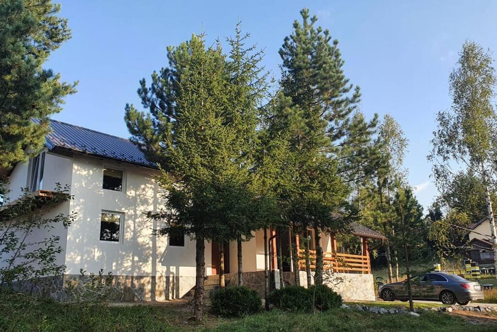 Mountain House Mijola Villa *